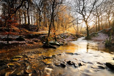 A Winter Stream - England clipart