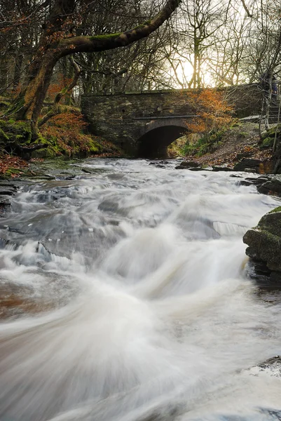 Een winter stream - Engeland — Stockfoto