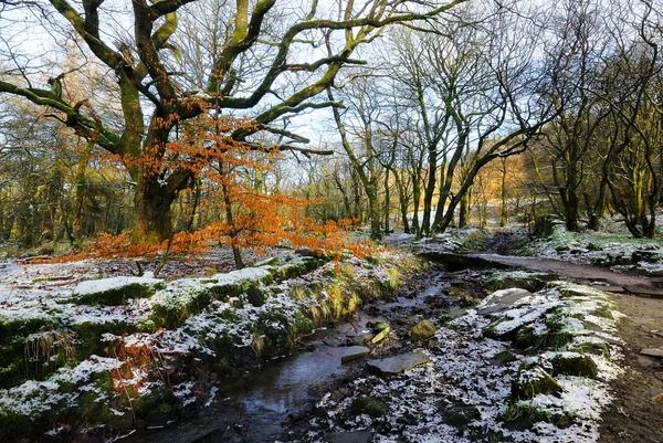 Uma corrente de inverno - Inglaterra — Fotografia de Stock
