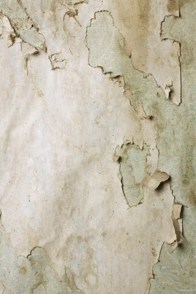 Παλιά αρτεσιανών στον τοίχο — Φωτογραφία Αρχείου