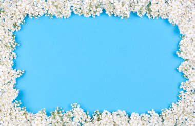 kuş kiraz çerçeve demet