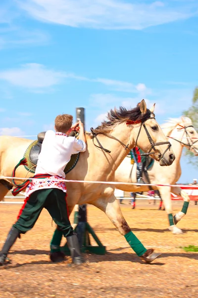 Truc Paardrijden — Stockfoto