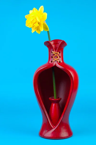 Желтый нарцисс в вазе — стоковое фото