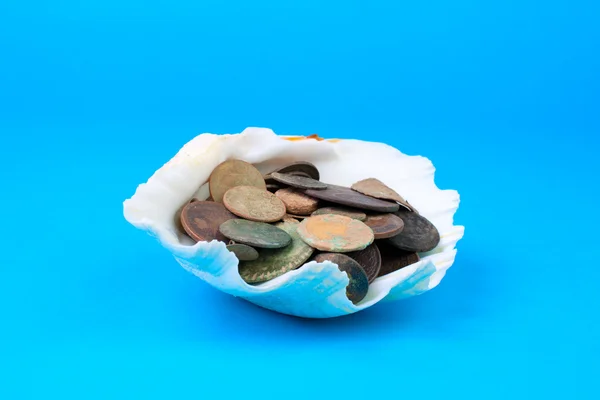 Concha con monedas antiguas — Foto de Stock