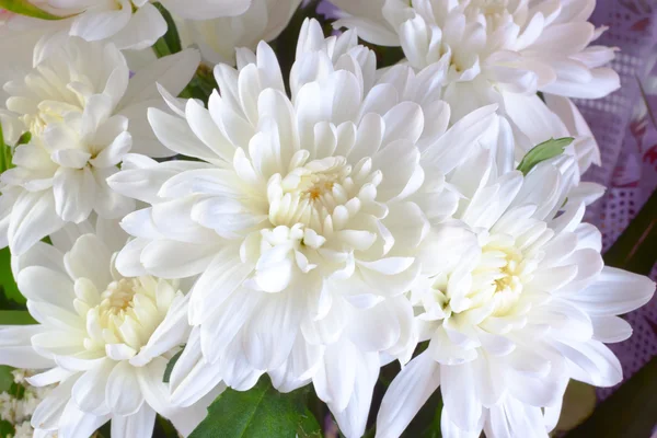 Ramo de crisantemo blanco —  Fotos de Stock