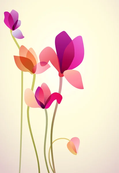 五种明亮野生花卉 图库插图