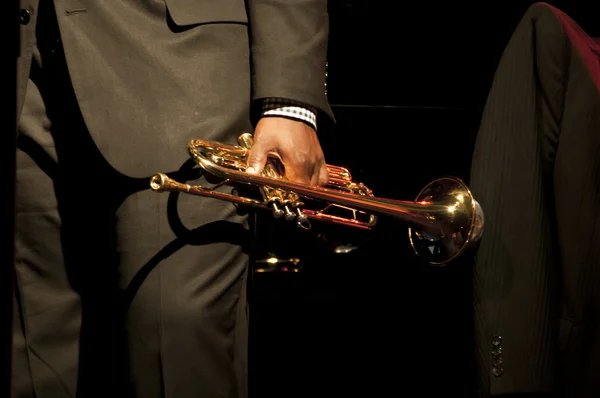 Jazz koncert Stock Kép