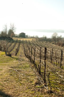 panoramik viverone Göl Manzaralı