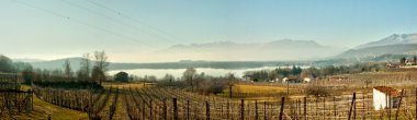 Panoramic Viverone lake view clipart