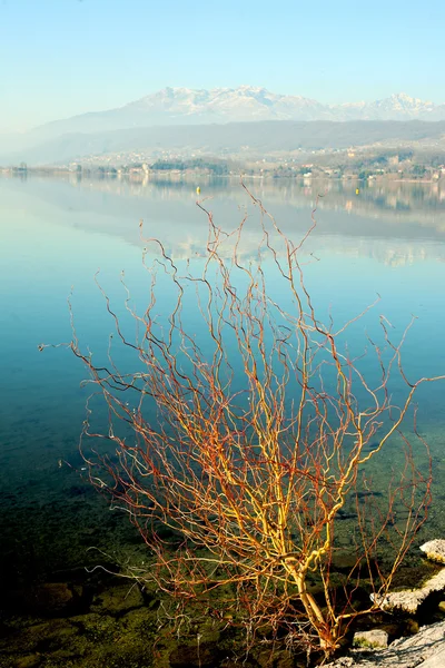 Panoramik viverone Göl Manzaralı — Stok fotoğraf