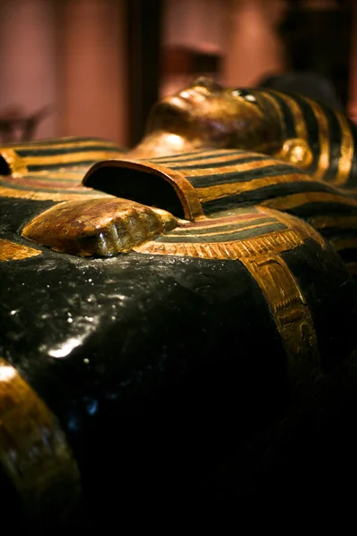 Туринский египетский музей — стоковое фото