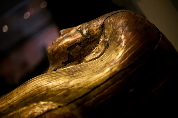 Muzeul Egiptean Torino — Fotografie, imagine de stoc