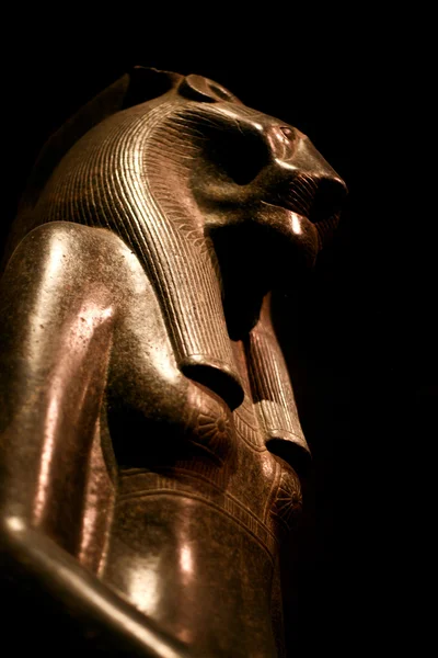 Musée égyptien de Turin — Photo