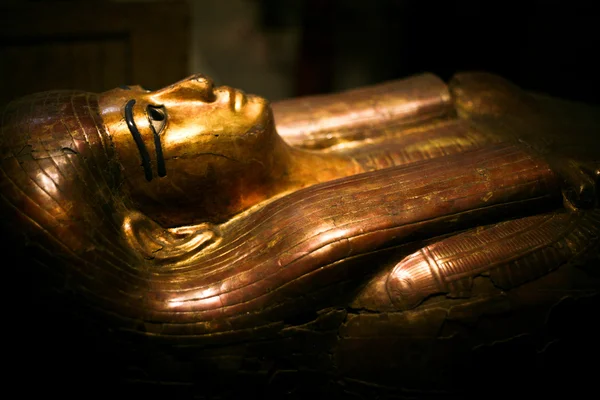 토리노의 이집트 박물관 스톡 이미지