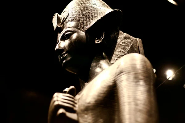 Museu Egípcio de Turim Imagens De Bancos De Imagens Sem Royalties