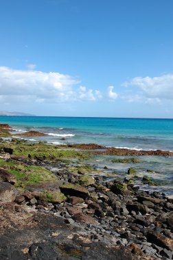 Fuerteventura beach