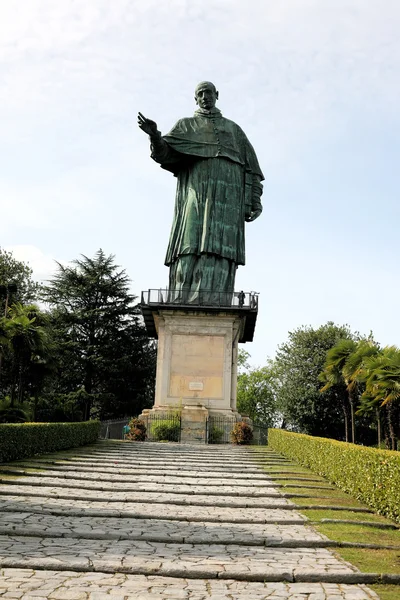 stock image Statue of St. Charles Borromeo