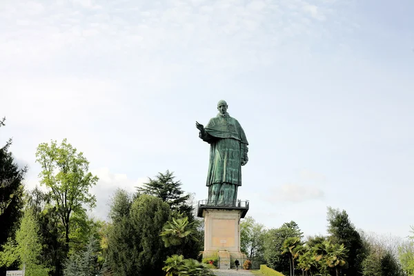 stock image Statue of St. Charles Borromeo