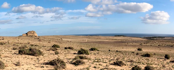 Desert in fuerteventura eiland — Stockfoto