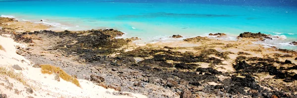 Fuerteventura trópusi tengerparti panorámával — Stock Fotó