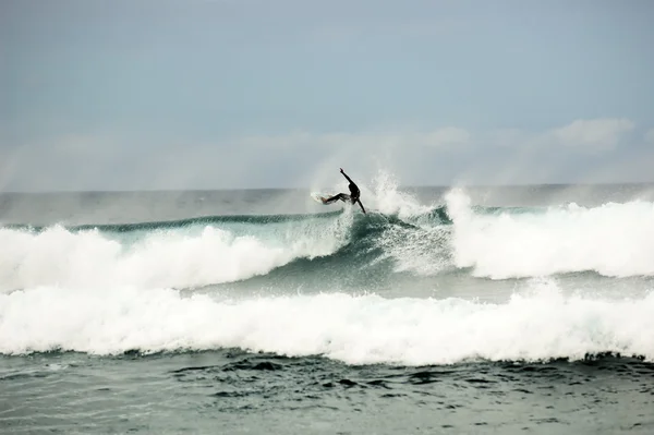 Surf en el océano Fotos De Stock Sin Royalties Gratis