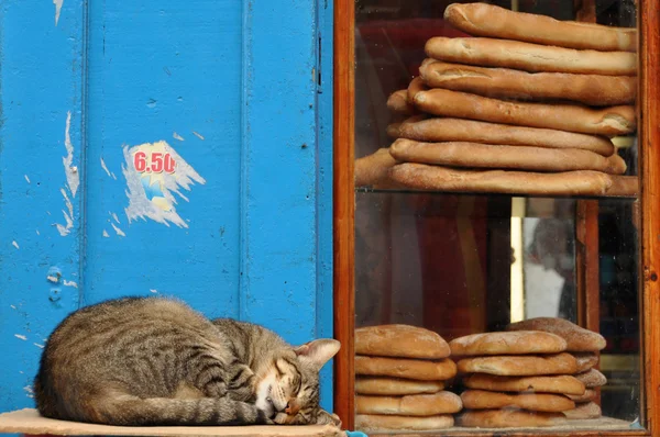 Gato dormindo perto do pão — Fotografia de Stock