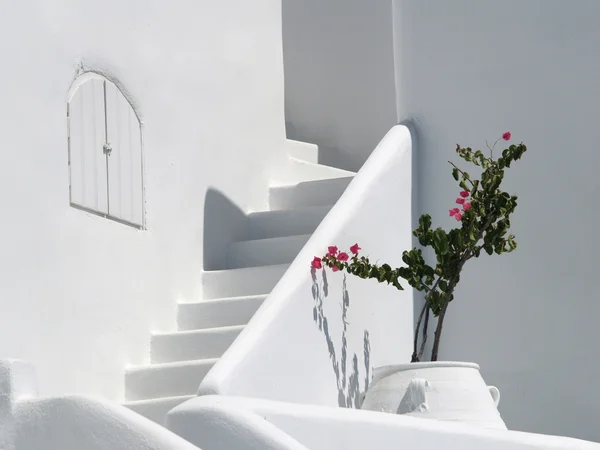 Tarro con buganvillas en la pared blanca de una isla griega Imagen de stock