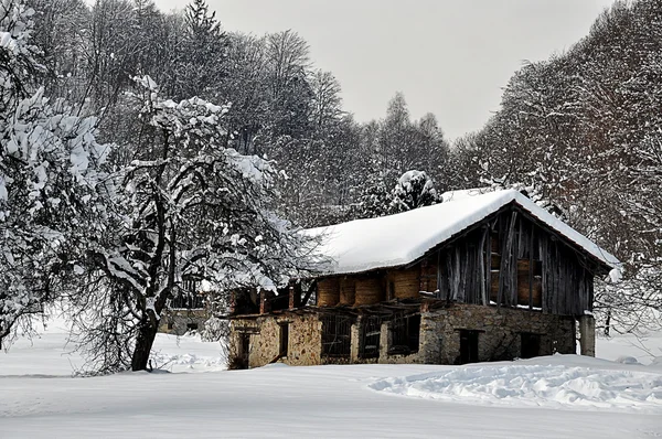 stock image Delightful farm loads of snow on the edge of the forest