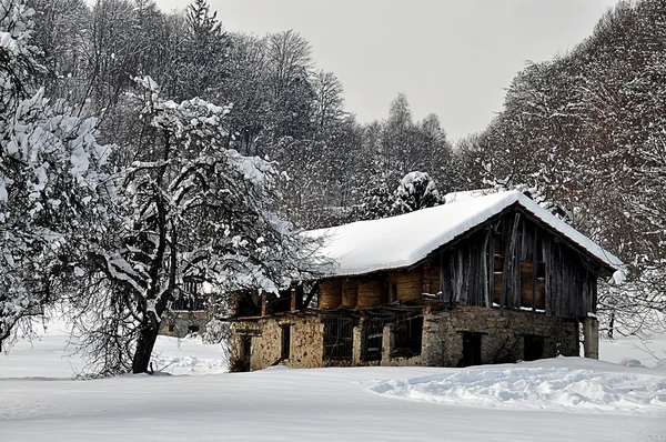 Ravissantes charges de neige à la ferme sur le bord de la forêt Images De Stock Libres De Droits