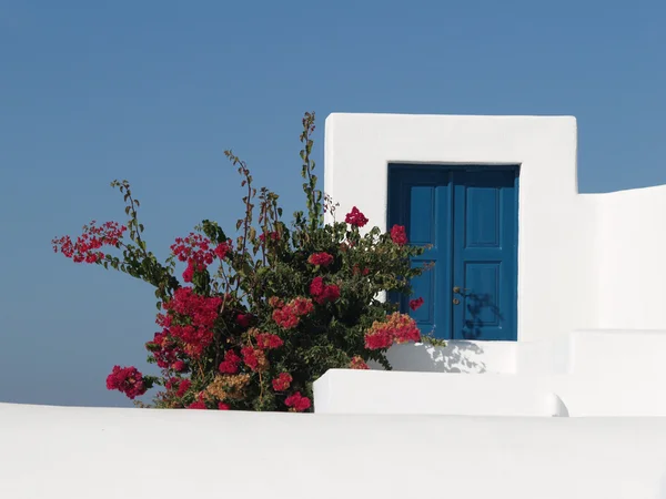 Puerta azul y bouganville en la pared blanca y cielo azul —  Fotos de Stock