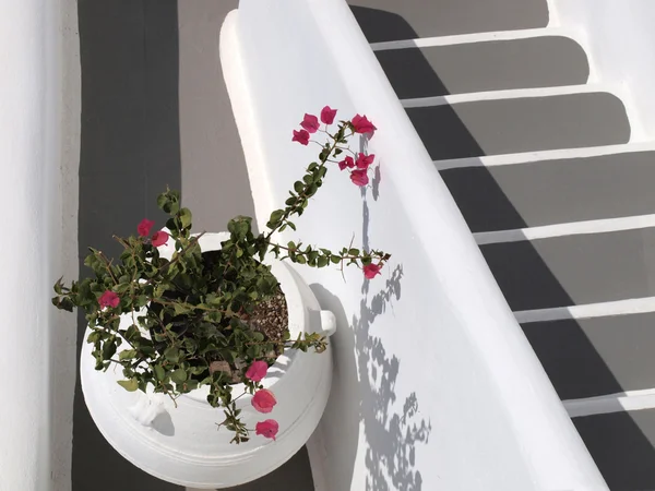 Tarro con buganvillas en escaleras blancas y grises —  Fotos de Stock