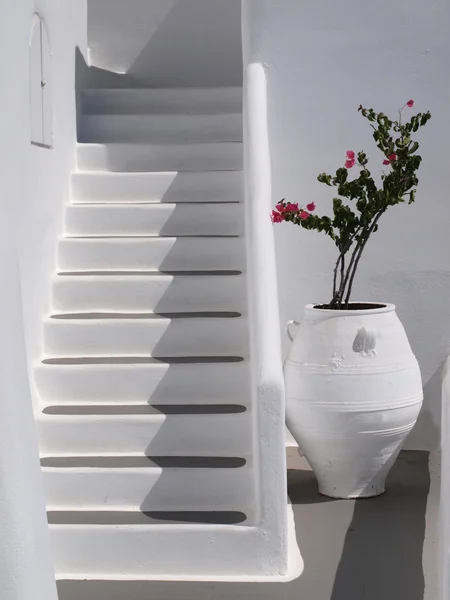 Frasco branco com buganvília, perto das escadas — Fotografia de Stock