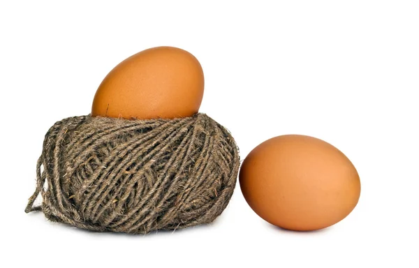 stock image Two eggs