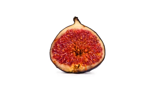 stock image The fig