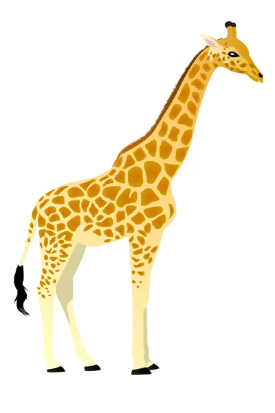 Giraf Rechtenvrije Stockillustraties
