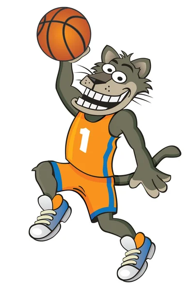 kedi basketbolcu