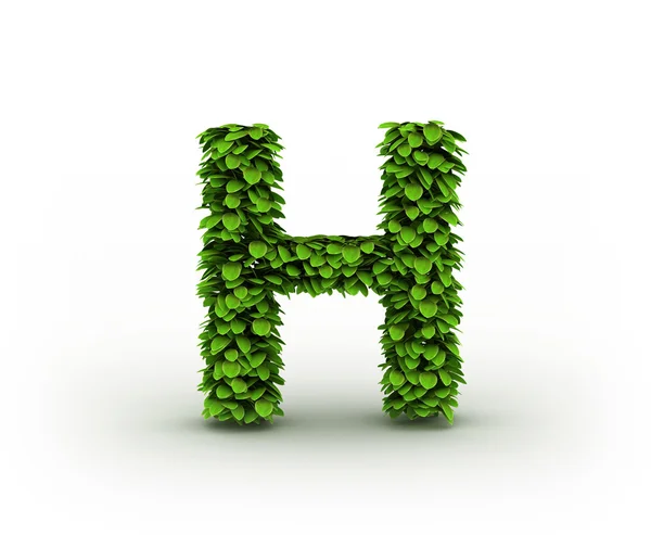 H harfi, alfabe yeşil yaprakları — Stok fotoğraf