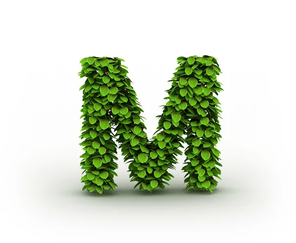 Letter M, alphabet of green leaves — Stock Photo, Image