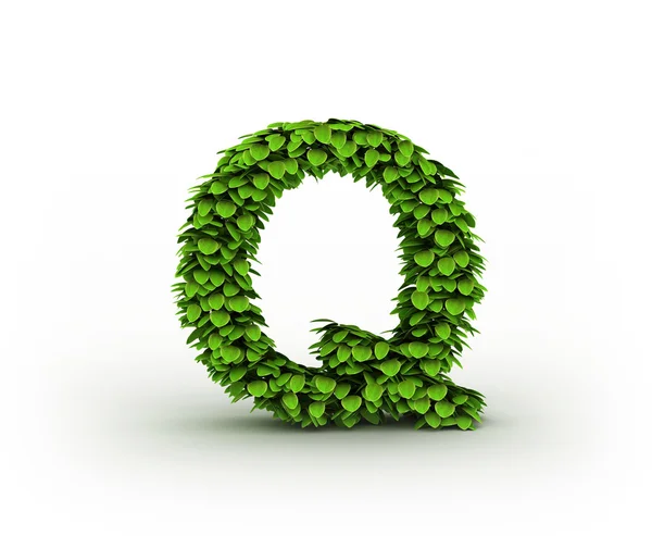 Harf q, alfabe yeşil yaprak — Stok fotoğraf
