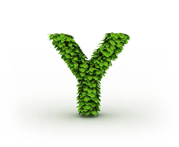 Letter Y, alphabet of green leaves — Stock Photo, Image