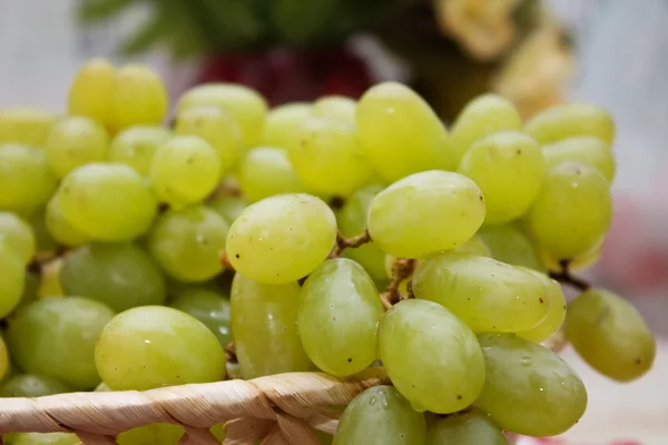 Rijp groene druiven — Stockfoto