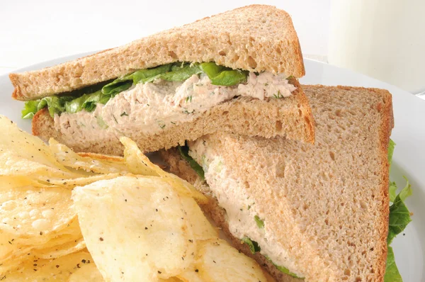 Ton Sandwich macro — Fotografie, imagine de stoc