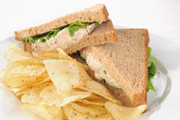 Tonijn sandwich op tarwe close-up — Stockfoto
