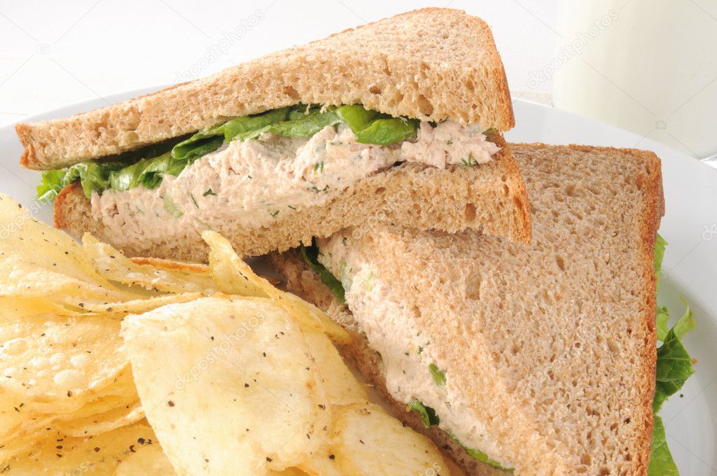 Tuna Sandwich macro