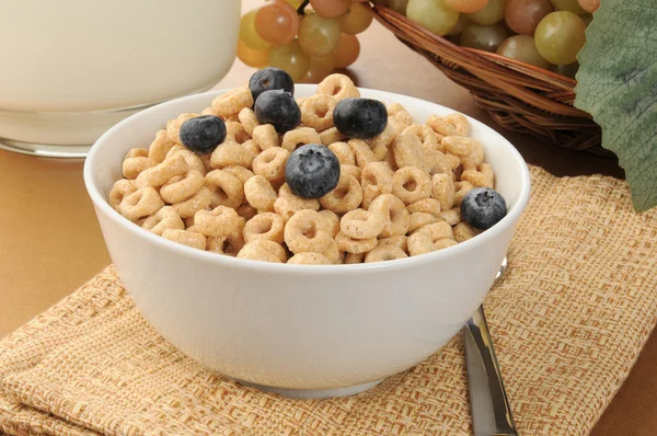 Bowl of cold cereal — Stock Photo, Image