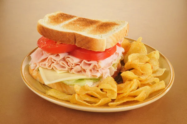 Büyük ham ve peynirli sandviç — Stok fotoğraf