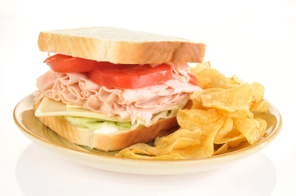 Turkey Sandwich — Stock Photo, Image