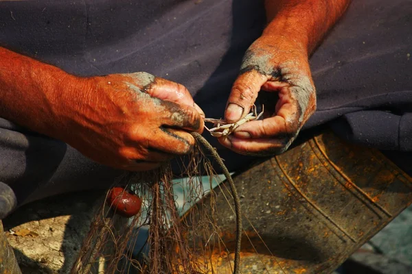 Fiskare whit krabba — Stockfoto