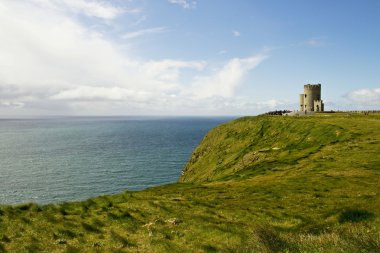 moher, İrlanda uçurumlarda göster