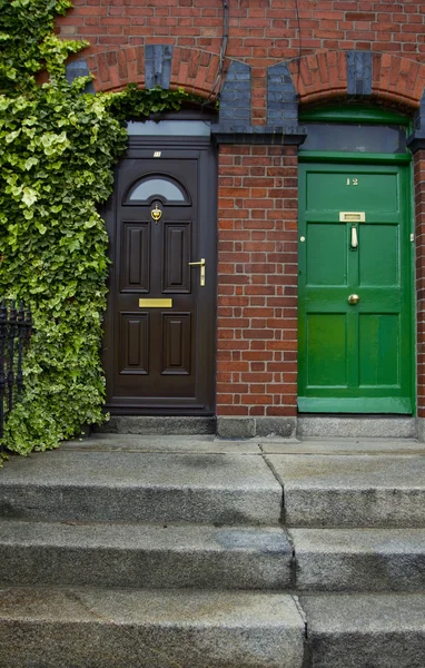 Porte tipiche di Dublino — Foto Stock